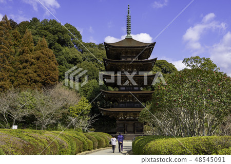 山口山口市Rurikoji寺五層樓 48545091