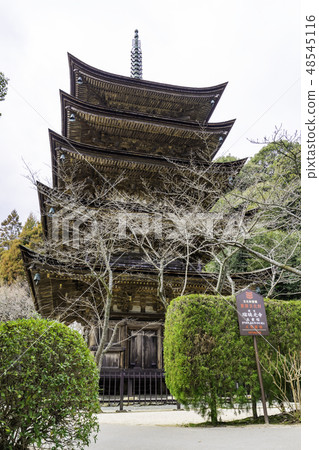 Yamaguchi Yamaguchi City Rurikoji Temple five stories 48545116