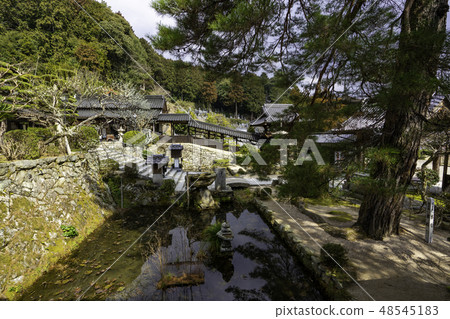 山口山口市Rurikoji寺緊急池 山口山口市Rurikoji寺緊急池 48545183