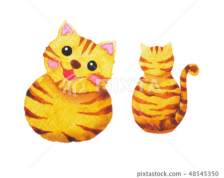 cute cat watercolor painting hand drawn  cute cat watercolor painting hand drawn  48545350