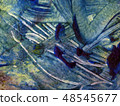 texture 48545677