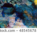 texture 48545678