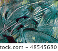 texture 48545680