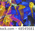 texture 48545681