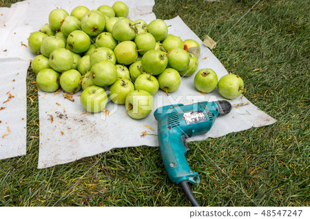 green apples and a screwdriver 48547247
