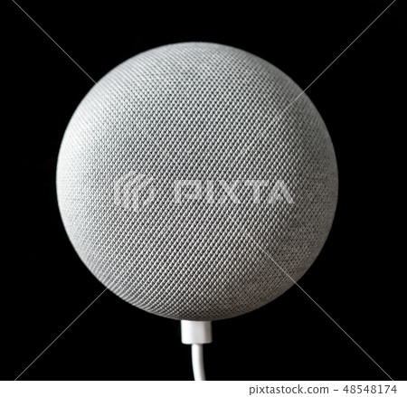 Google Home Mini a smart speaker 48548174