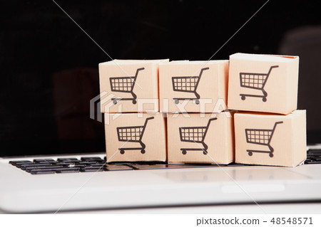 Online shopping ecommerce and delivery service concept : Paper cartons with a shopping cart or 48548571