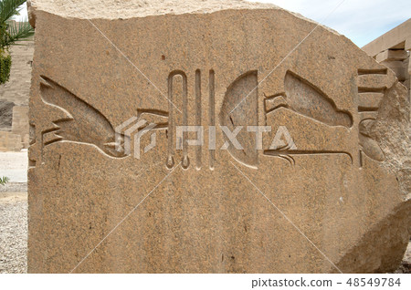 part of stella.  Great  Hall of Temple of Karnak. 48549784