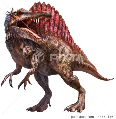 Spinosaurus  3D illustration  48550136