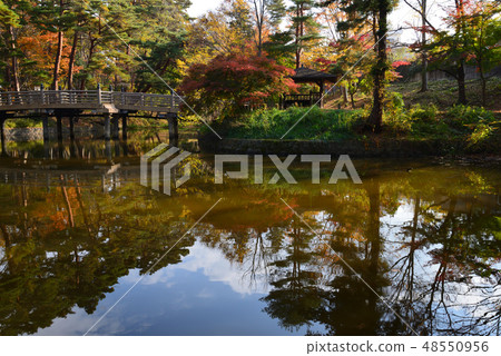 我去了Idaigaoka Park#11 我去了Idaigaoka Park#11 48550956