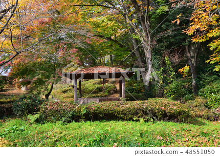 I went to Idaigaoka Park # 28 I went to Idaigaoka Park # 28 48551050