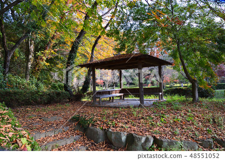 I went to Idaigaoka Park # 26 48551052