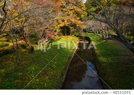 我去了Idaigaoka Park#23 我去了Idaigaoka Park#23 48551055