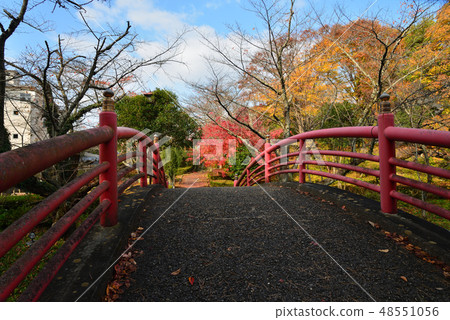 我去了Idaigaoka Park＃22 48551056