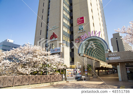 飯田橋站周圍 飯田橋站周圍 48551786