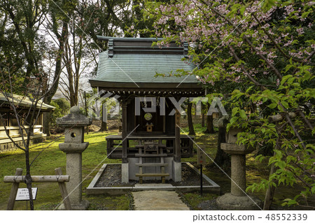 Yamaguchi Hagi Shogun Shrine推薦學校 Yamaguchi Hagi Shogun Shrine推薦學校 48552339