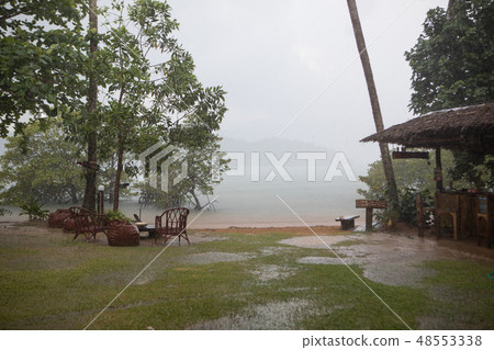 Tropical rain on the beach and jungle Tropical rain on the beach and jungle 48553338