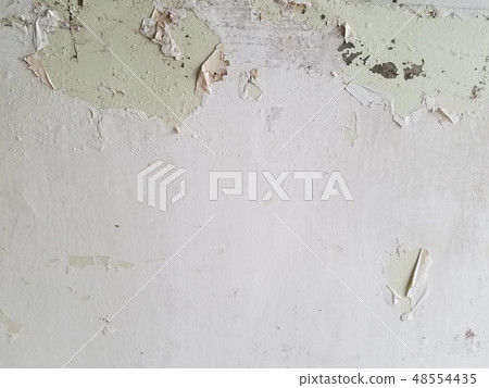 Texture old painted wall (white) 48554435