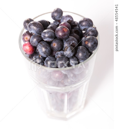 Glass of blueberries on white background 48554541