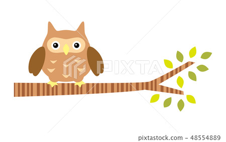 An owl stopping in a tree 48554889