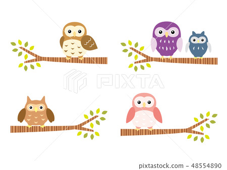 An owl stopping in a tree 48554890