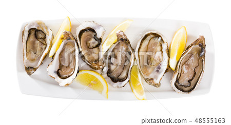 Oysters with lemon on plate 48555163