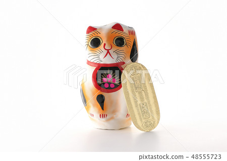 Cats and odds Cats and odds 48555723