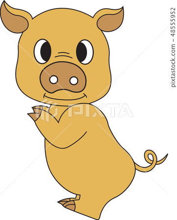 豬圖像，例證 48555952