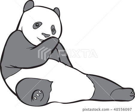 Panda image, illustration - Stock Illustration [48556097] - PIXTA