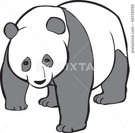 Panda image, illustration - Stock Illustration [48556098] - PIXTA