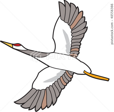 New image, illustration 48556366