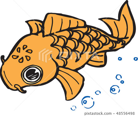 Fish image, illustration 48556498