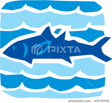 Fish image, illustration Fish image, illustration 48556506
