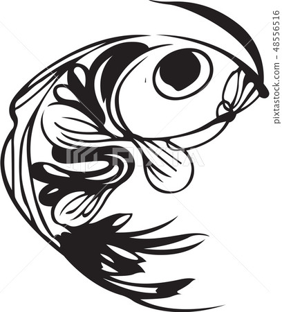 Fish image, illustration 48556516