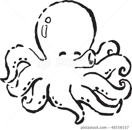 Fish image, illustration Fish image, illustration 48556537