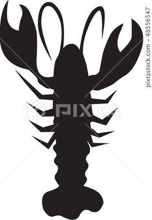 Fish image, illustration 48556547