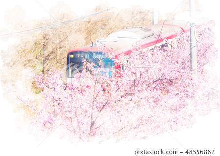 Cherry blossoms and trains Cherry blossoms and trains 48556862
