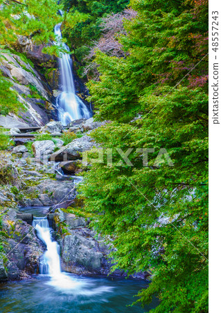 獎勵的下降[佐賀縣唐津市] 48557243