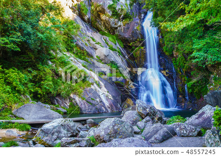 獎勵的下降[佐賀縣唐津市] 48557245