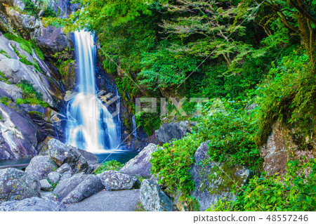 獎勵的下降[佐賀縣唐津市] 48557246