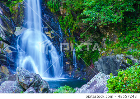 獎勵的下降[佐賀縣唐津市] 48557248