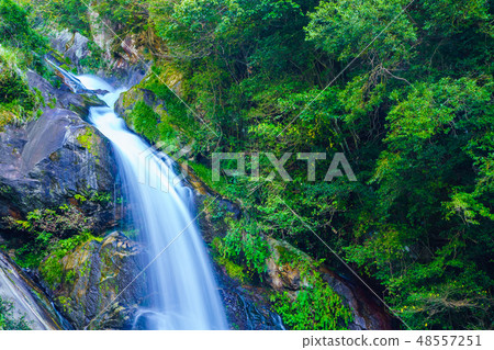 獎勵的下降[佐賀縣唐津市] 48557251