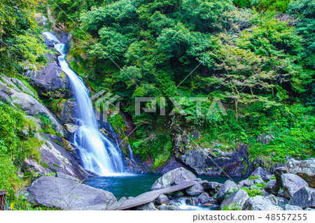 獎勵的下降[佐賀縣唐津市] 48557255