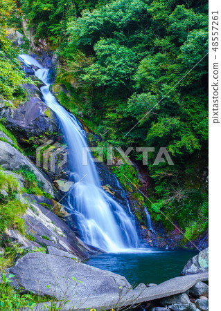 Fall of reward [Saga prefecture Karatsu City] 48557261