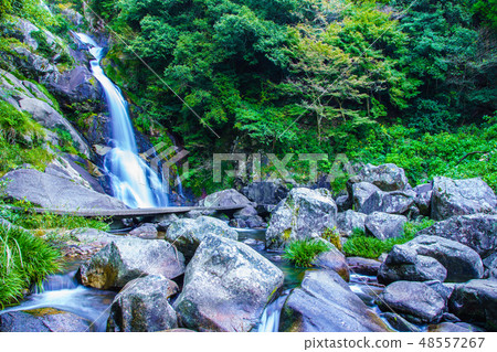 Fall of reward [Saga prefecture Karatsu City] 48557267