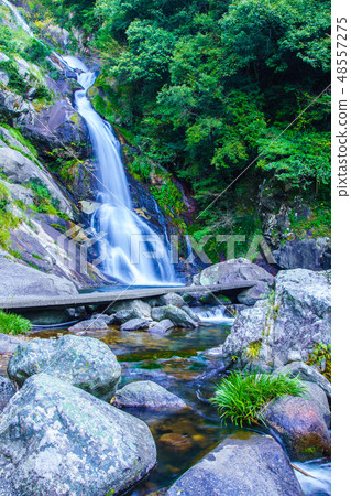 獎勵的下降[佐賀縣唐津市] 48557275