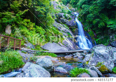 獎勵的下降[佐賀縣唐津市] 48557277