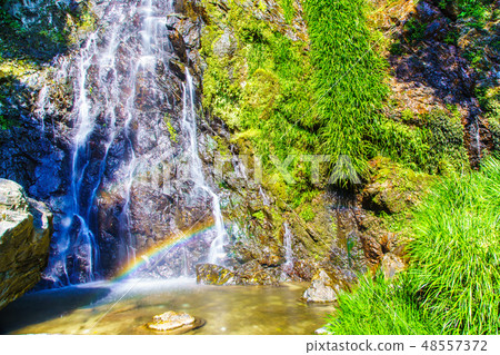 清水瀑布【佐賀縣小木市】 48557372