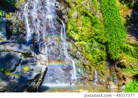 Kiyomizu Waterfall [Ogi City, Saga Prefecture] 48557377