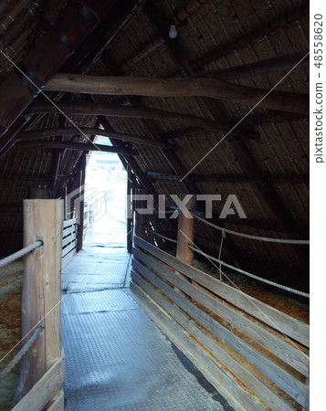 Alcher Hut _大分 48558620